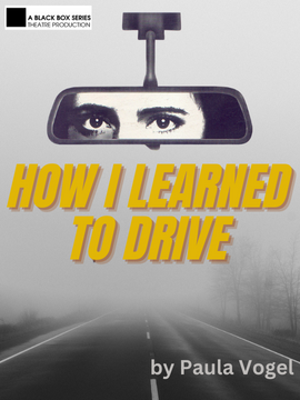 STONZEK-BLACK BOX-How I Learned to Drive (Icon Image)