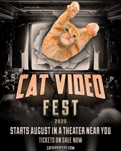 FILM - 2025 Cat Festival (Image)