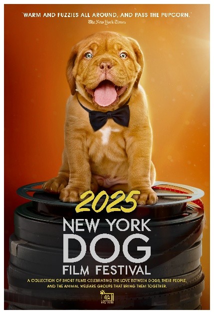 FILM-NY Dog Movie Festival 2025 (Image)